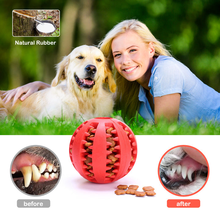 ElasChew Dog Toy- Pet Rubber Ball