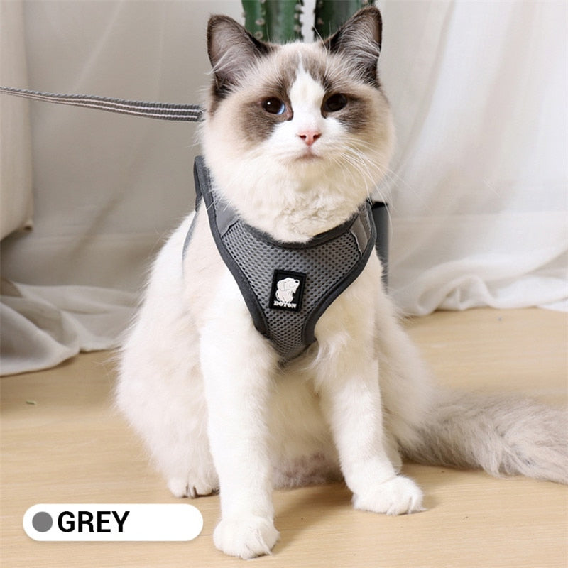 Cat Pack- Universal Cat Harness