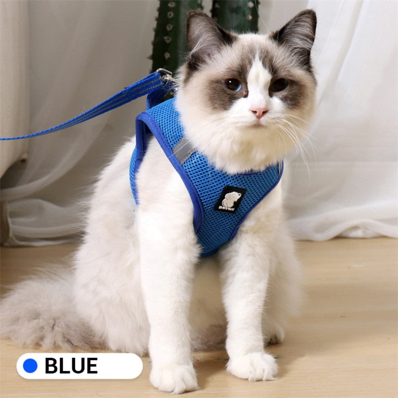 Cat Pack- Universal Cat Harness