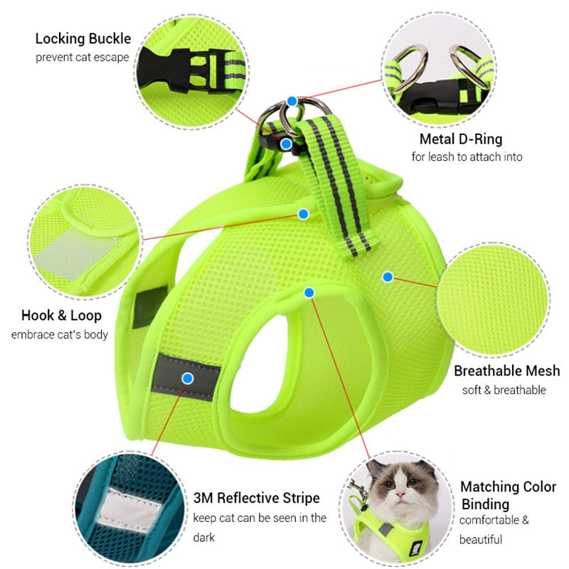 Cat Pack- Universal Cat Harness