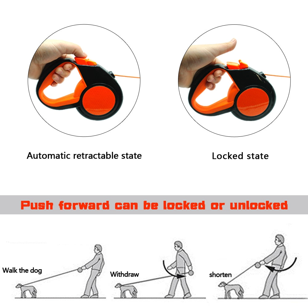 Dual Headed Pet Leashes with Flashlight