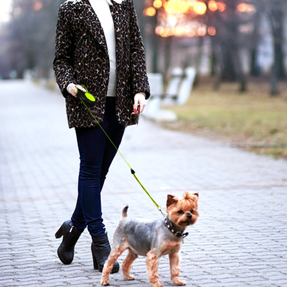 Dual Headed Pet Leashes with Flashlight