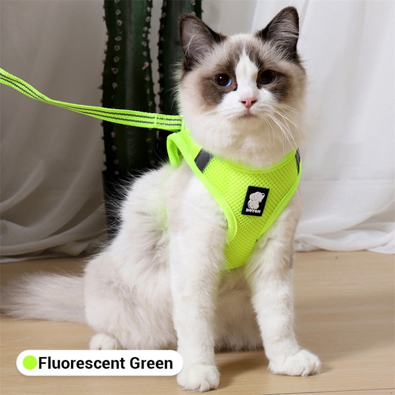 Cat Pack- Universal Cat Harness