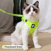 Cat Pack- Universal Cat Harness