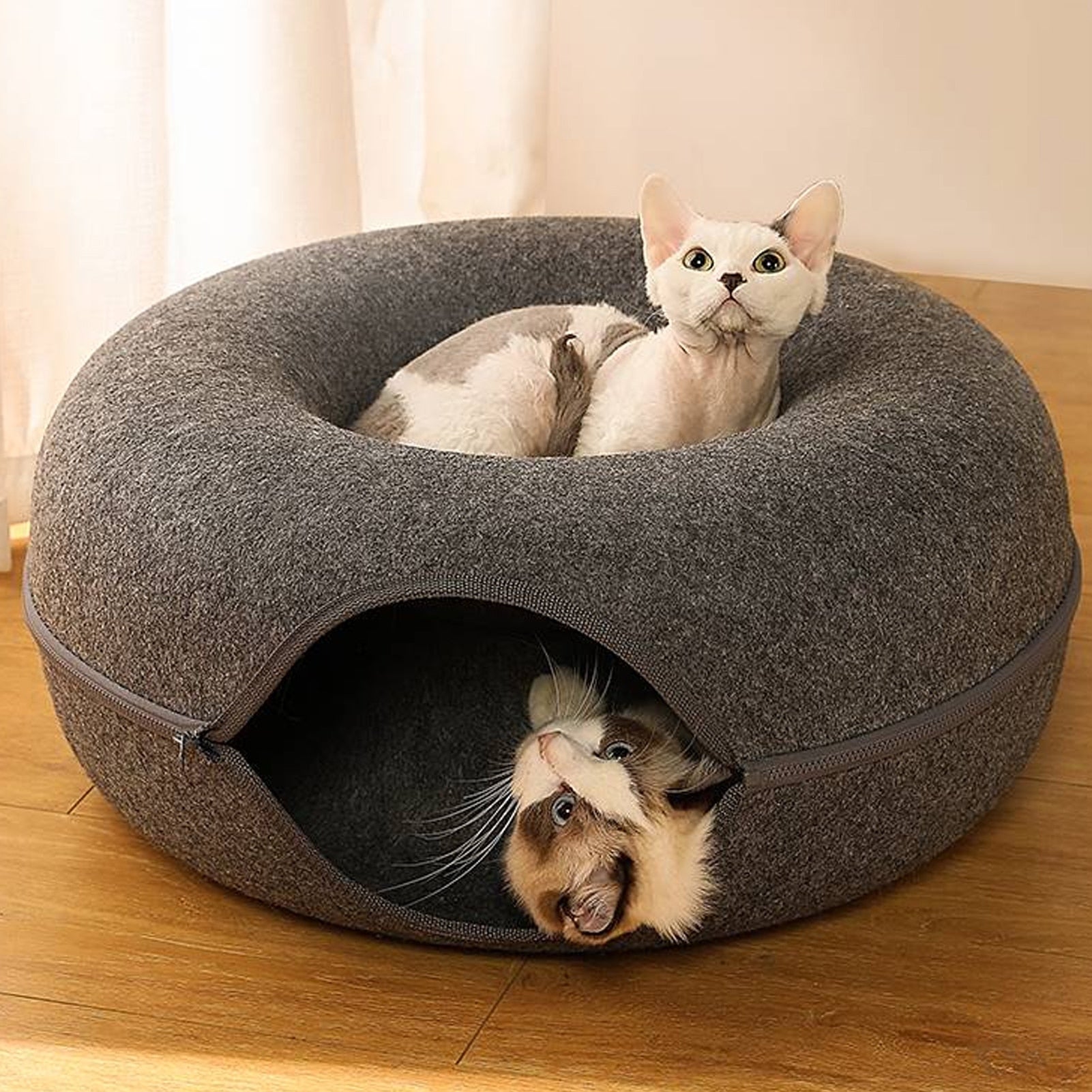 The Homeyla®️ Cat Tunnel Bed