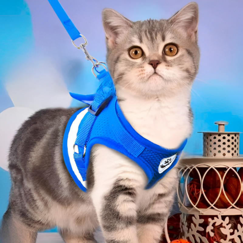 Cat Pack- Universal Cat Harness